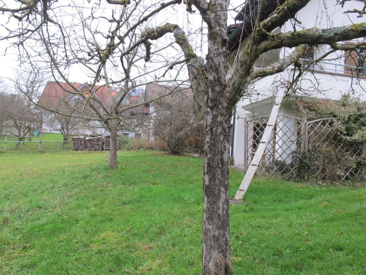 Gasthaus Adler Hotell Wangen im Allgäu Exteriör bild